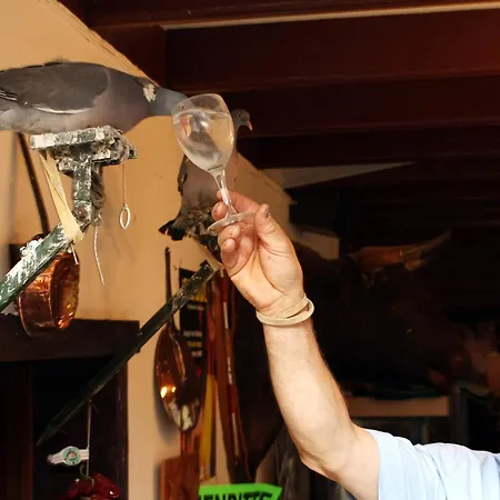 Du Col D'osquich Hotel 2*