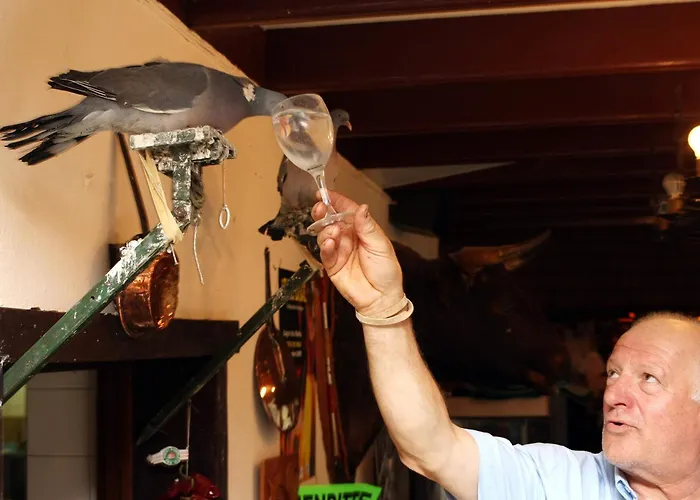 Logis Du Col D'osquich Hotel 2*